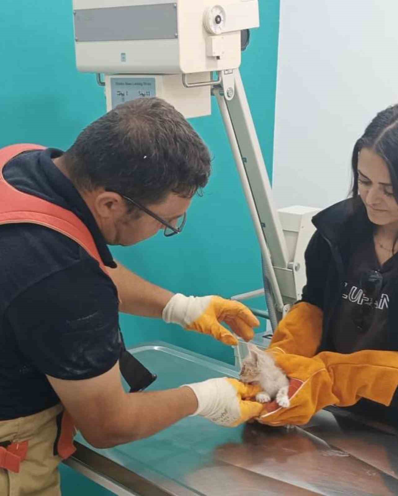 Havalandırma boşluğuna düşen kedi duvar kırılarak kurtarıldı