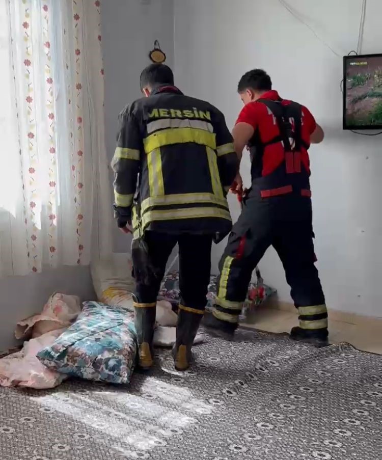 Mersin&rsquo;de 2 g&uuml;n &ouml;nce eve giren yılanı itfaiye erleri bulup &ccedil;ıkarttı
