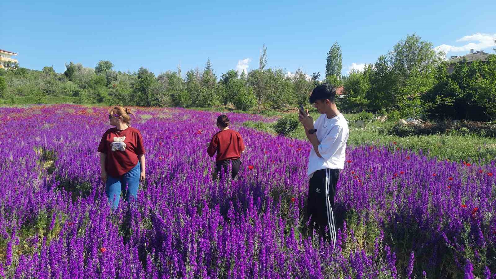 Konya Bozkır’da renk cümbüşü