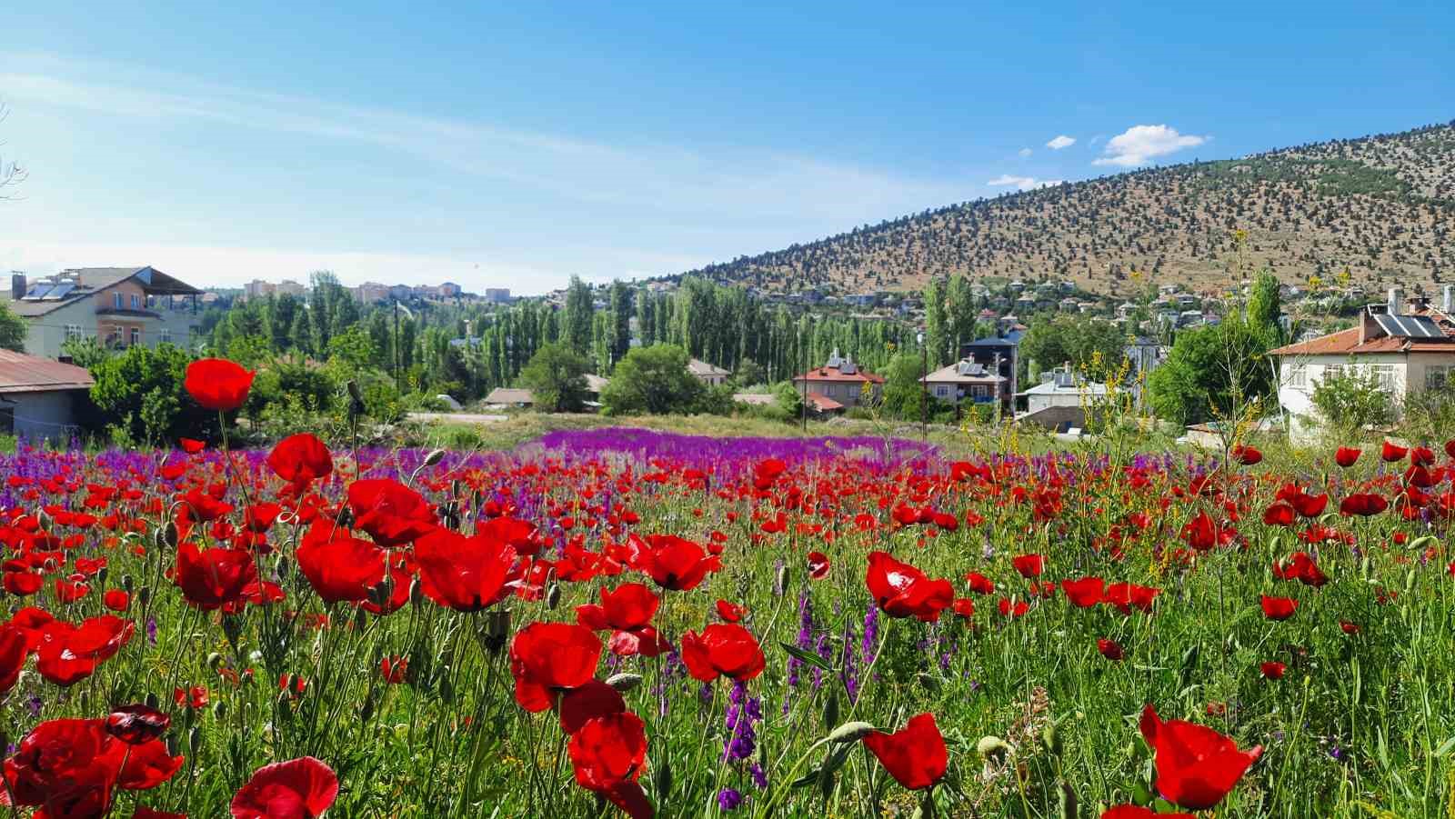 Konya Bozkır&rsquo;da renk c&uuml;mb&uuml;ş&uuml;
