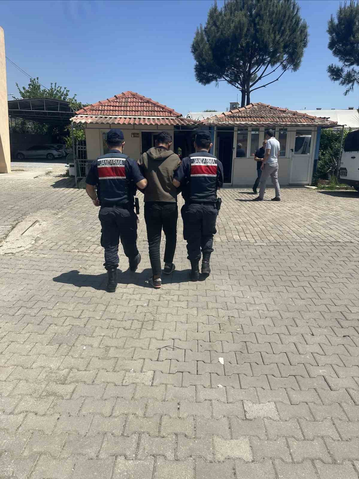 Jandarmadan narkotik operasyonları
