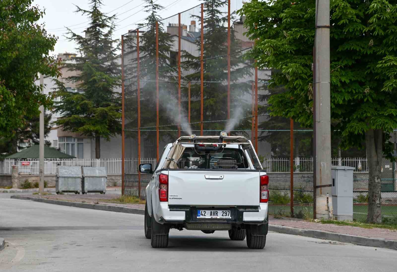 Selçuklu’da ilaçlama çalışmalar başladı