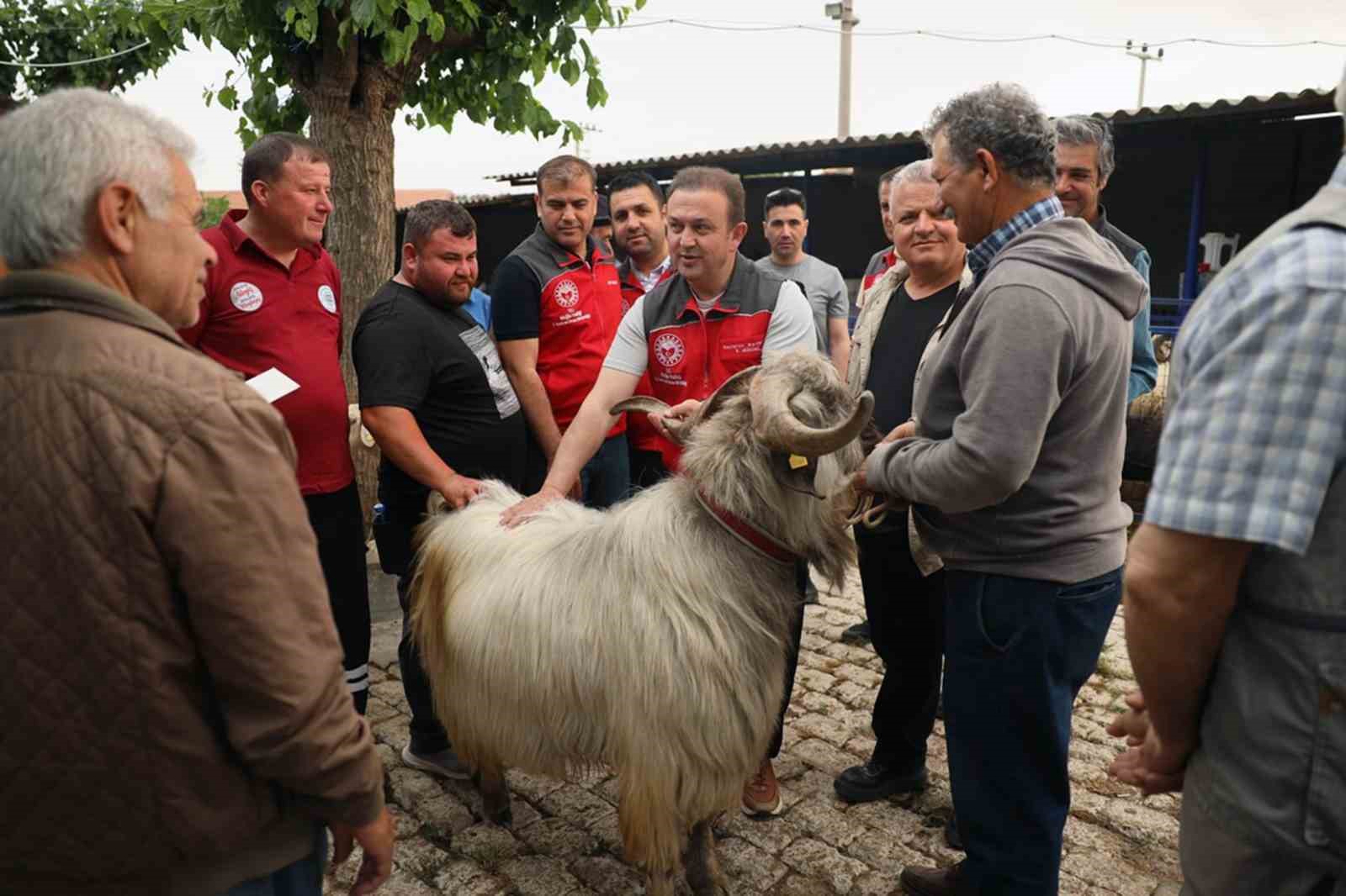 Kurban pazarlarında sağlık ve hijyen kontrolü