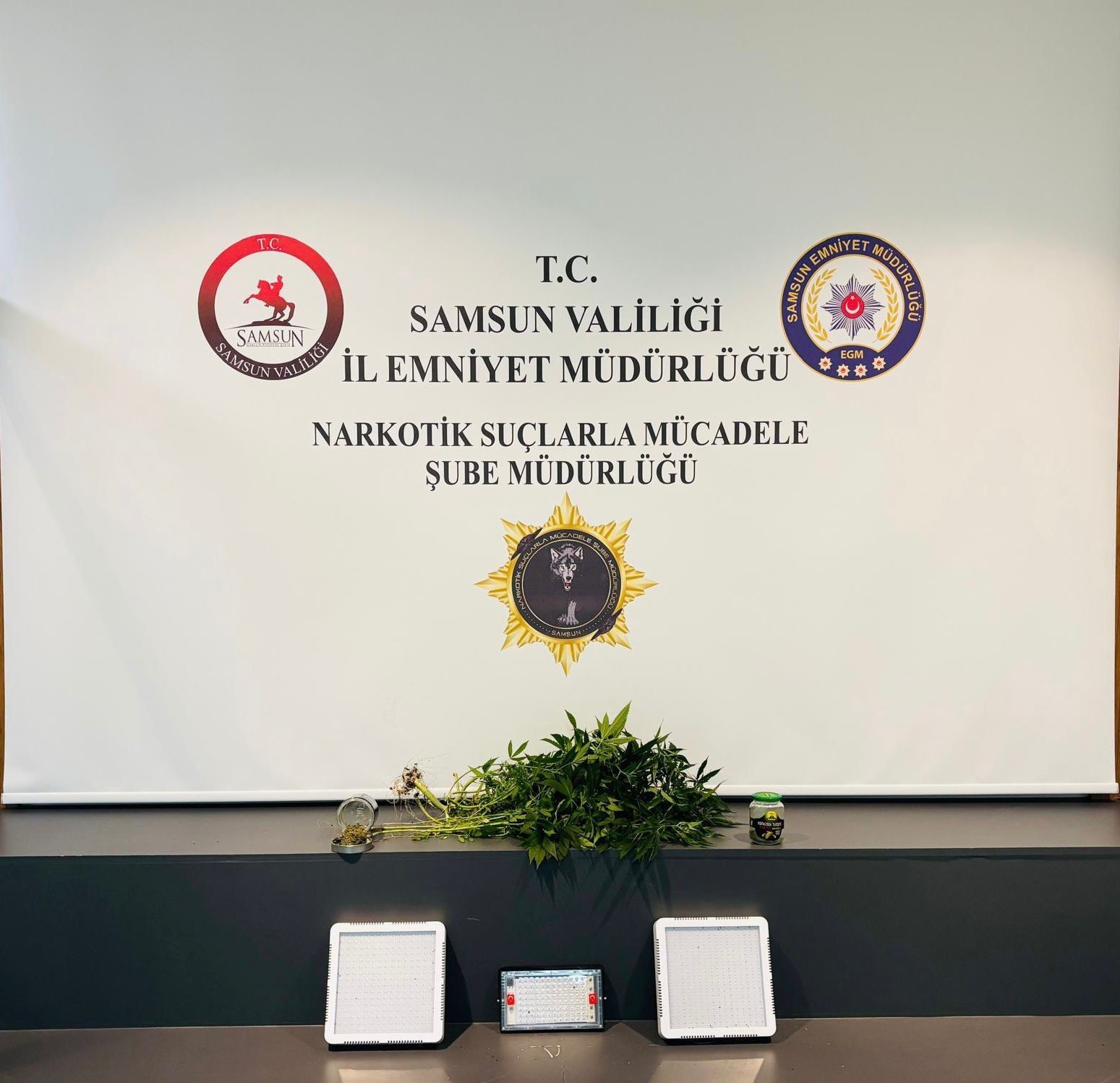 Evin içinde kenevir serası ele geçirildi
