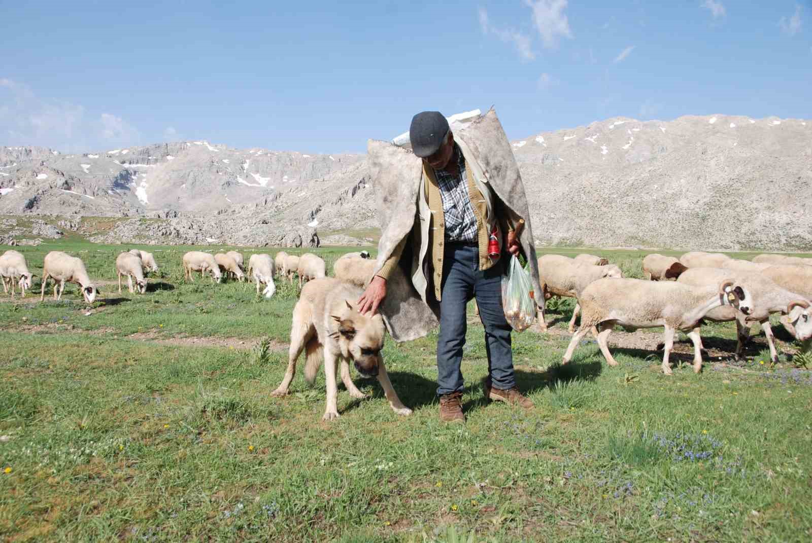 Antalya’da Yörüklerin yayla serüvenleri başladı