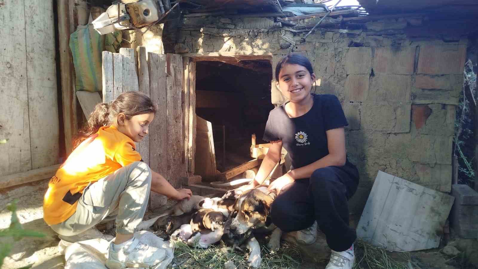 K&uuml;&ccedil;&uuml;k &ccedil;ocuklardan y&uuml;rek ısıtan davranış
