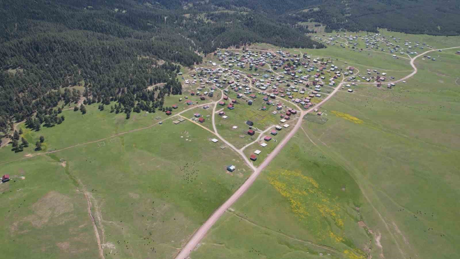 Havaların ısınmasıyla Benli Yaylası’na göç başladı