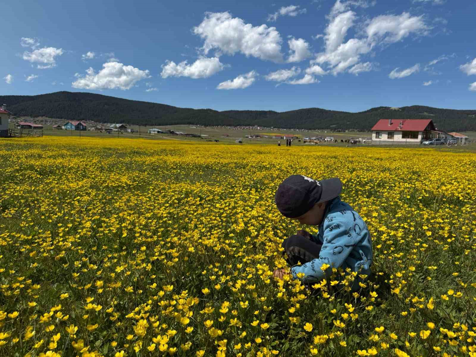 Havaların ısınmasıyla Benli Yaylası&rsquo;na g&ouml;&ccedil; başladı

