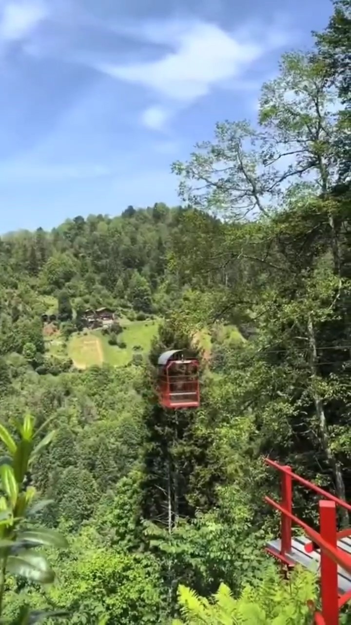 Rize&rsquo;nin &lsquo;Kendini koruyan mahalle&rsquo;si sosyal medyada ilgi odağı oldu
