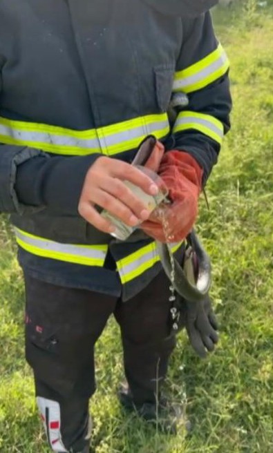 Bah&ccedil;eye giren yılanla hatıra fotoğrafı &ccedil;ektirdiler
