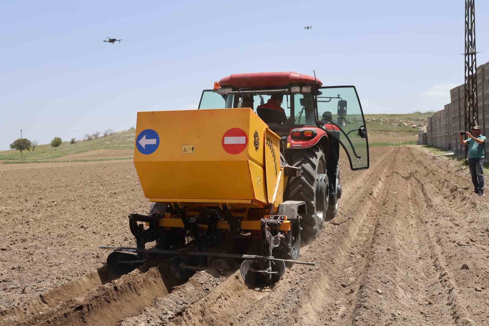 12 bin 500 dekar alan ekime açıldı