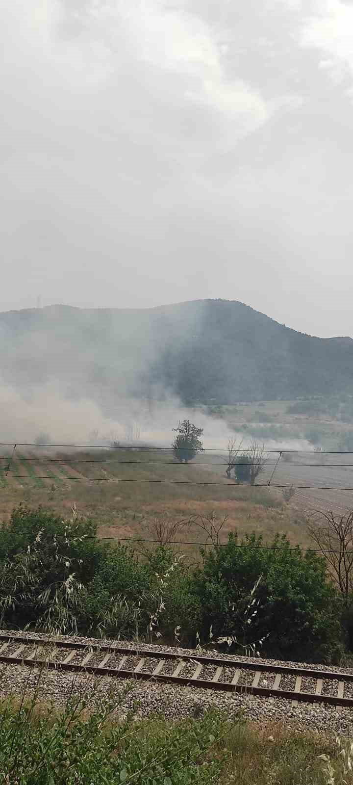 Osmaneli’de anız yangını söndürüldü