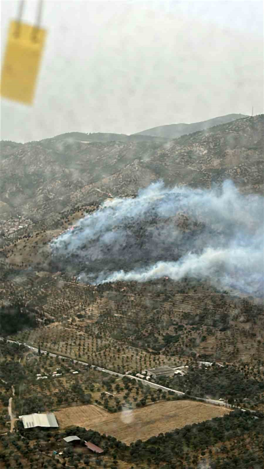 İzmir’de zeytinlik alandaki yangın kontrol altında
