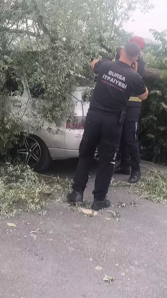 K&ouml;k&uuml;nden s&ouml;k&uuml;len ağa&ccedil; otomobilin &uuml;zerine devrildi
