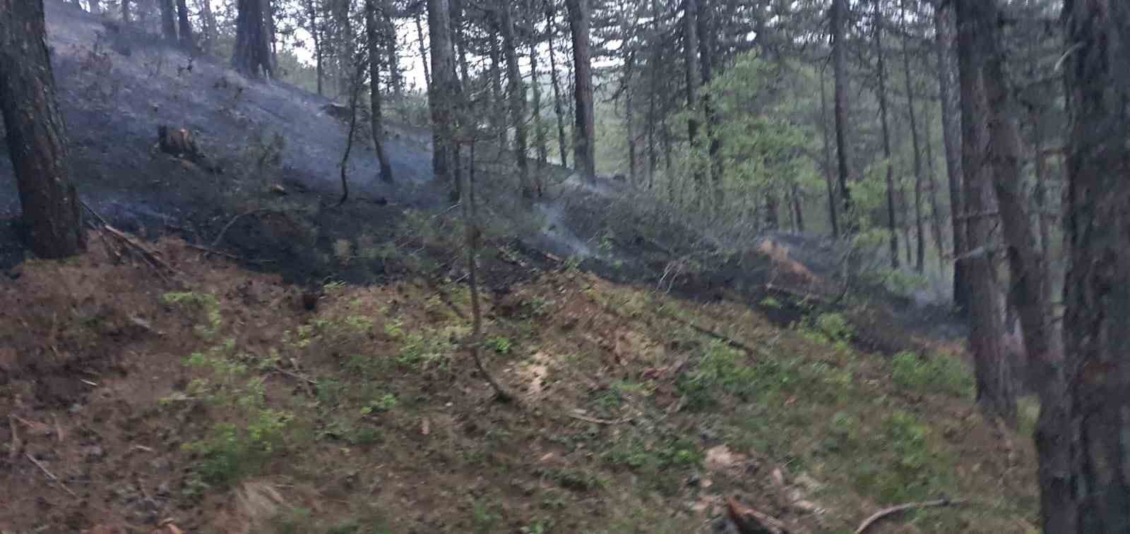 Afyonkarahisar’da orman yangını