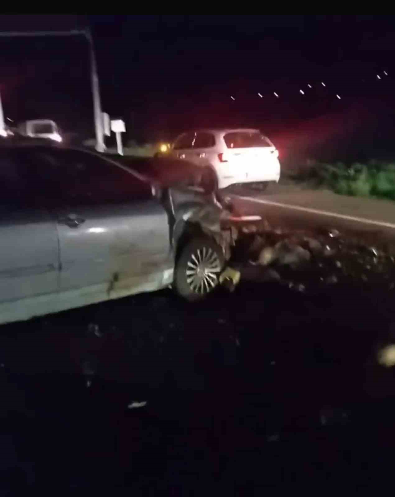 Iğdır’da otomobil hayvan sürüsüne çarptı: 25 koyun telef oldu