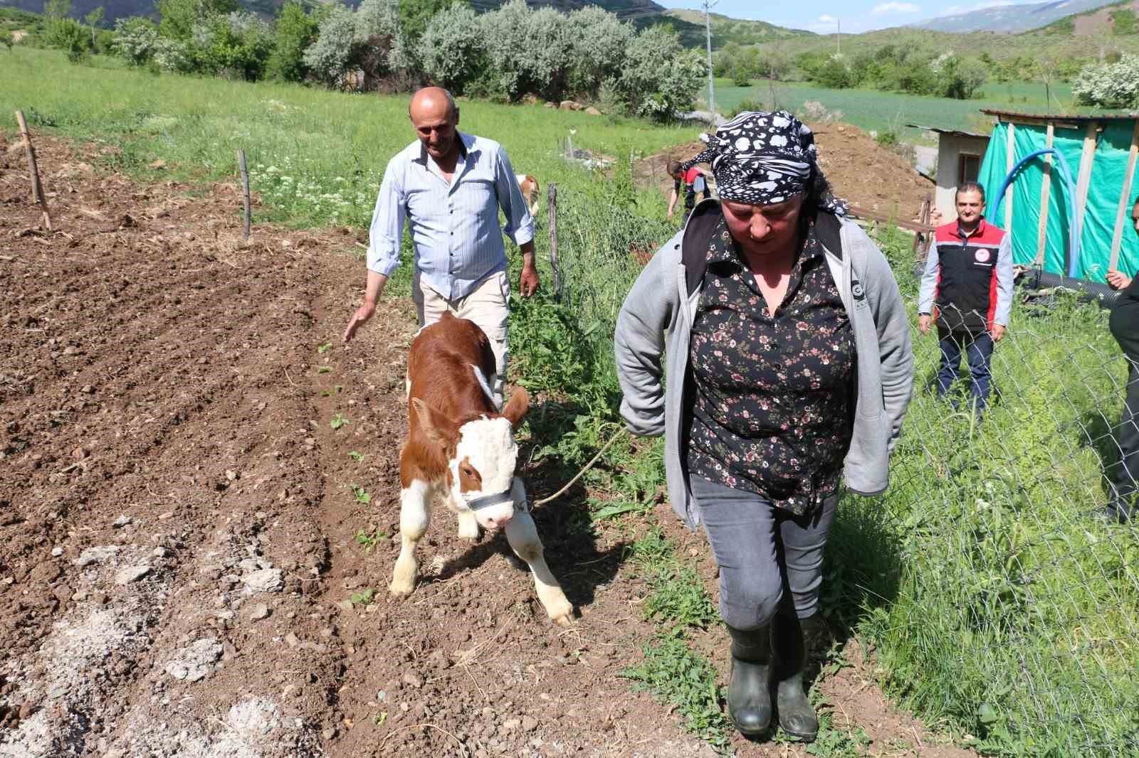 Gürcistanlı Nino, Erzincan çiftçiliğine renk katıyor