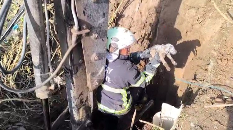 Kuyuda mahsur kalan yavru köpeğin imdadına itfaiye yetişti