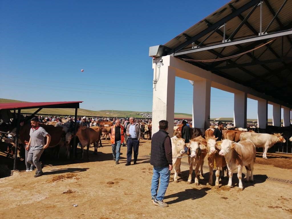 Bayburt&rsquo;ta kurban kesim yerleri belli oldu
