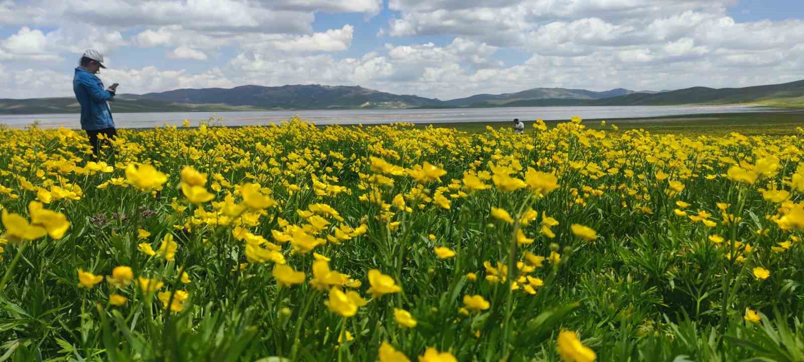 Keşiş G&ouml;l&uuml; ziyaret&ccedil;ilerini ağırlamaya başladı
