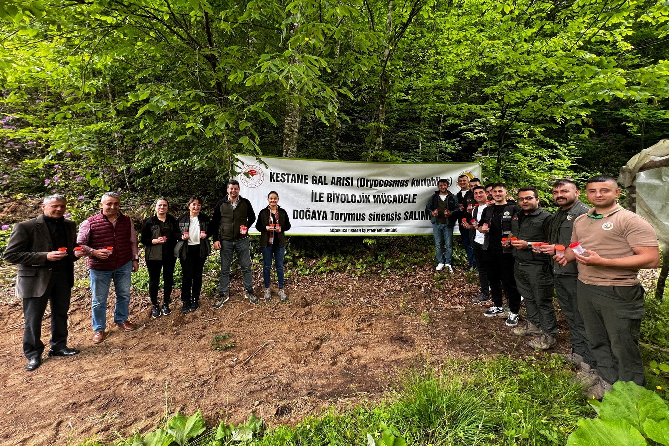 4 bin adet savaşçı böcek salındı