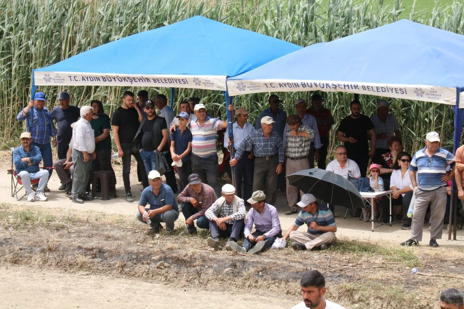 Yenipazar’da Geleneksel Rahvan Yarışları nefes kesti

