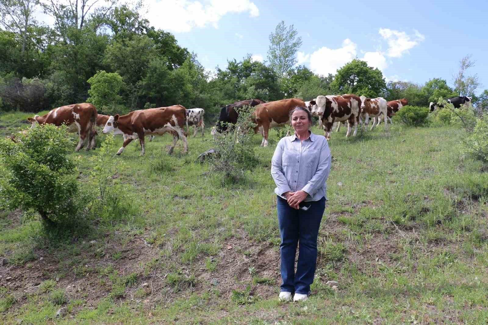 Erzincan&rsquo;da kadın muhtar, hayvancılıkta &ouml;rnek oluyor
