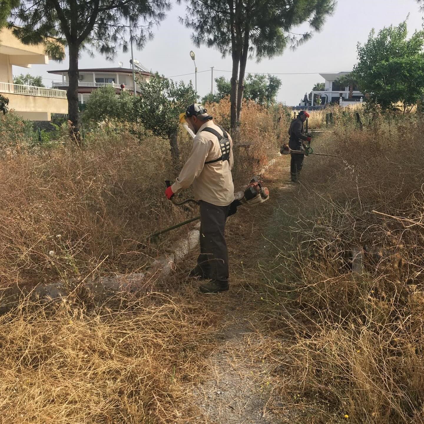 Didim Belediyesi’nden ’kuru ot’ seferberliği
