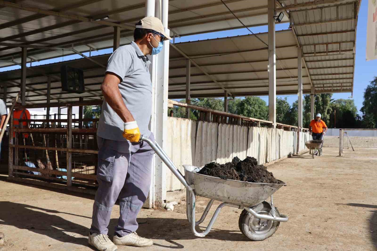 Nazilli Belediyesi’nden hayvan pazarında temizlik seferberliği