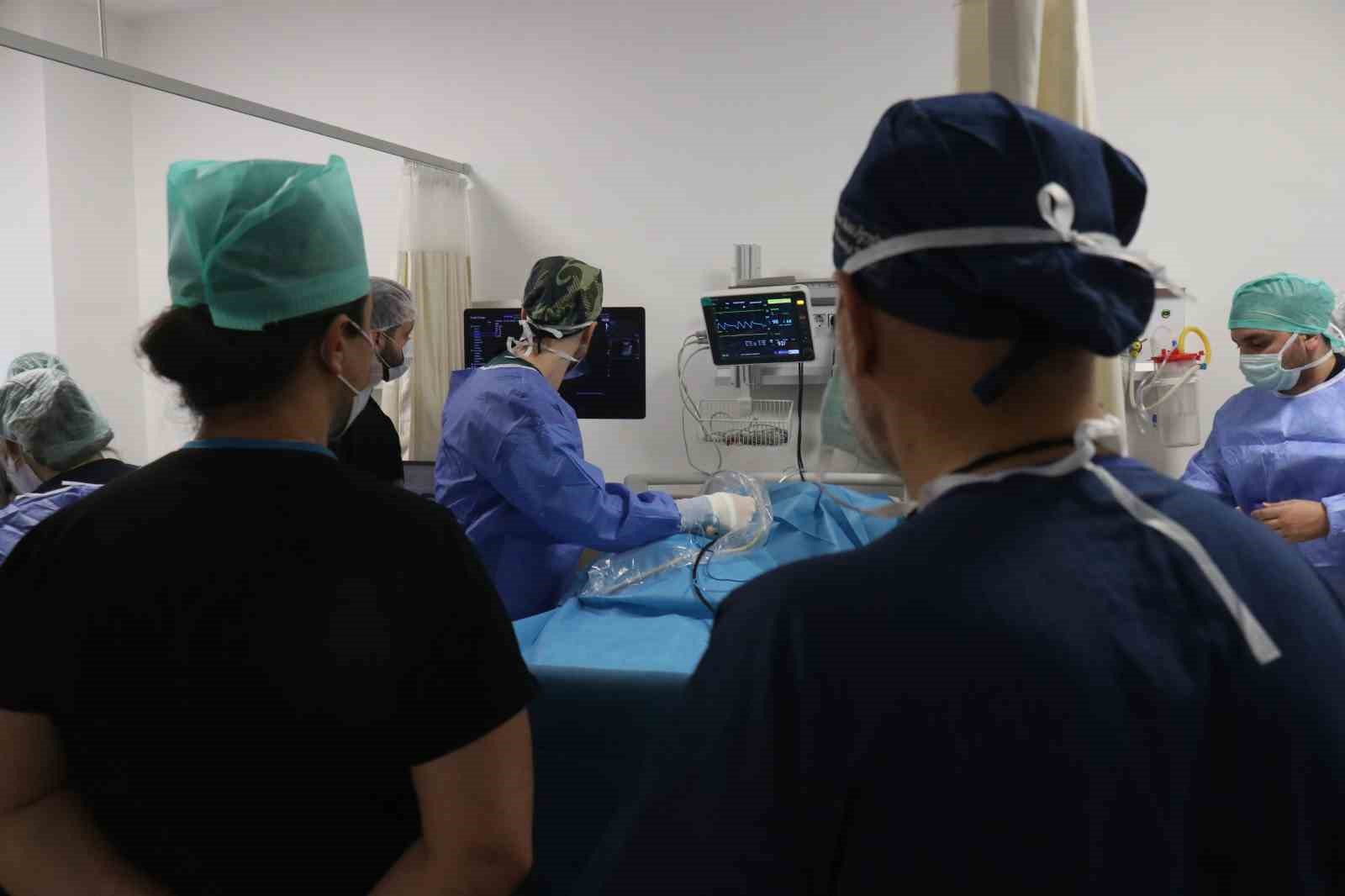 Sakarya’dan dünyaya tıp eğitimi: SEAH, uluslararası eğitimin üssü oldu