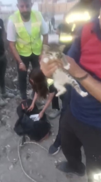 Osmaniye’de inşaat alanında bulunan kuyuya düşen yavru kedi kurtarıldı