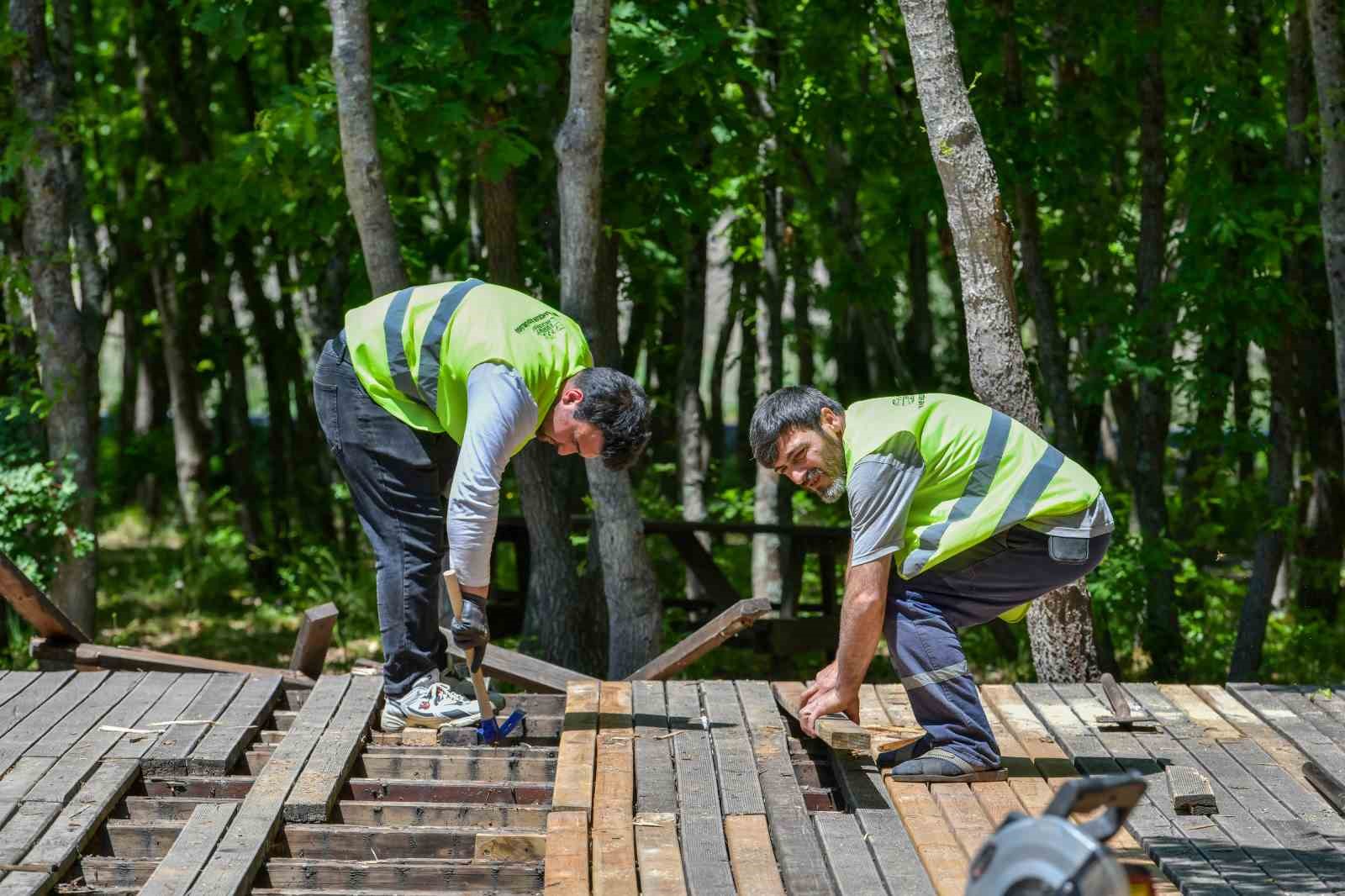 Danamandıra Tabiat Parkı yaza hazır
