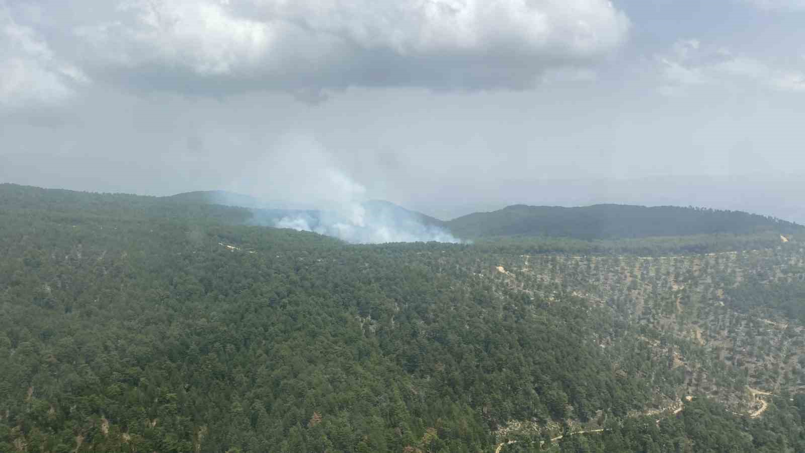 Aydın’da orman yangını