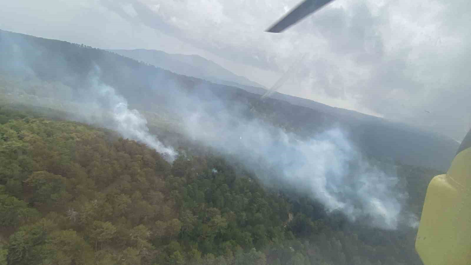 Aydın’da orman yangını