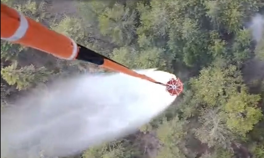 Aydın’daki orman yangını kontrol altına alındı