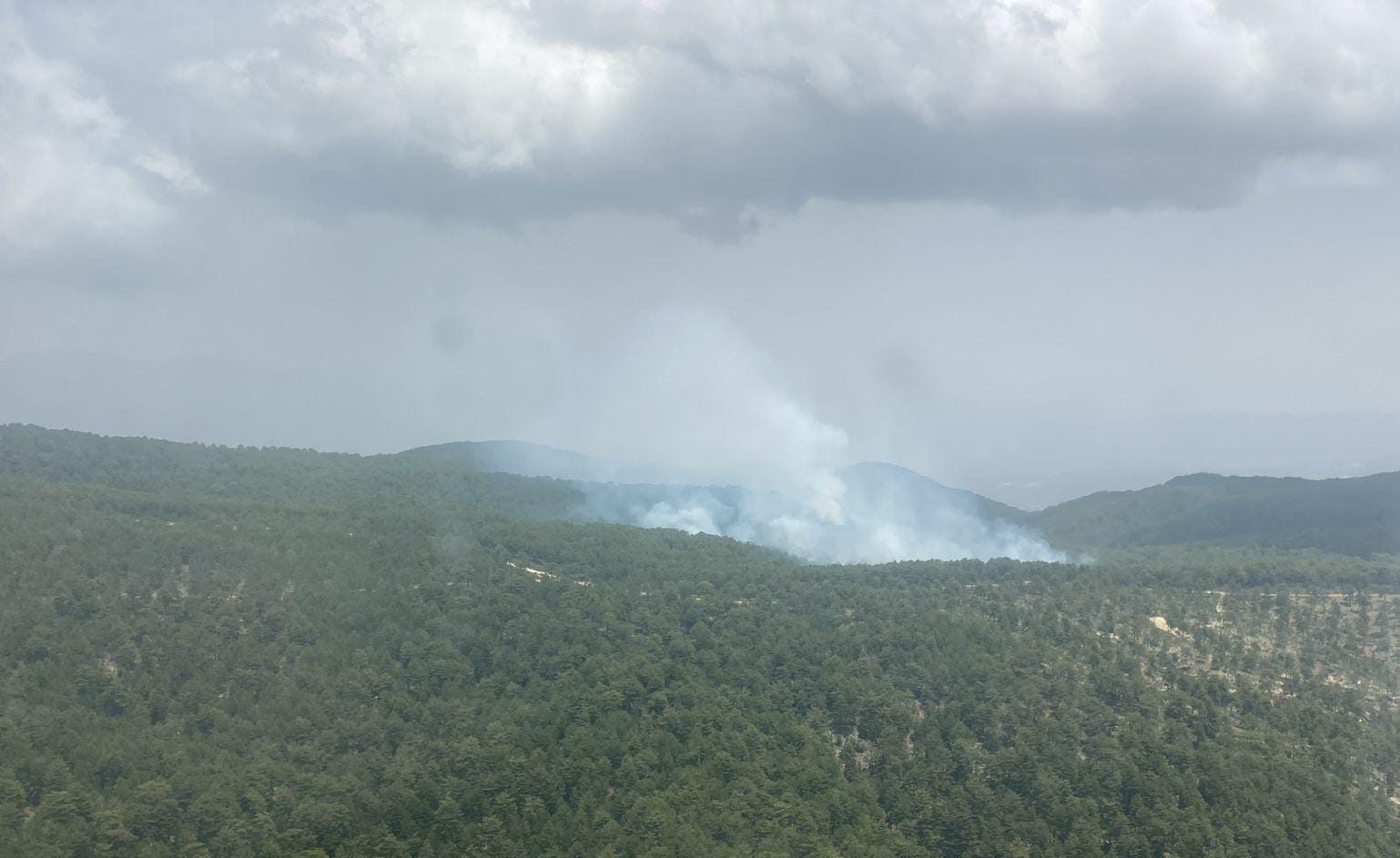 Aydın&rsquo;daki orman yangını kontrol altına alındı
