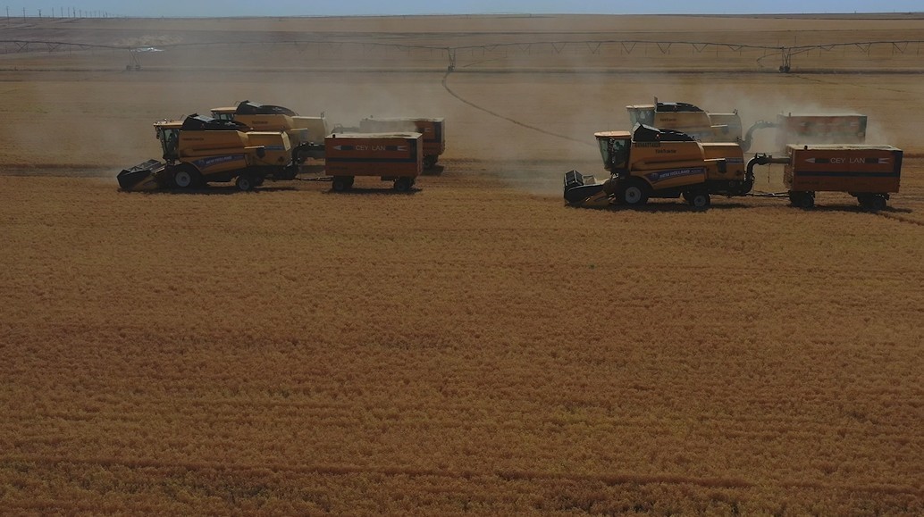 Bakan Yumaklı: "TİGEM Şanlıurfa Ceylanpınar Tarım İşletmesi’nde yılın ilk hasadına başlandı"