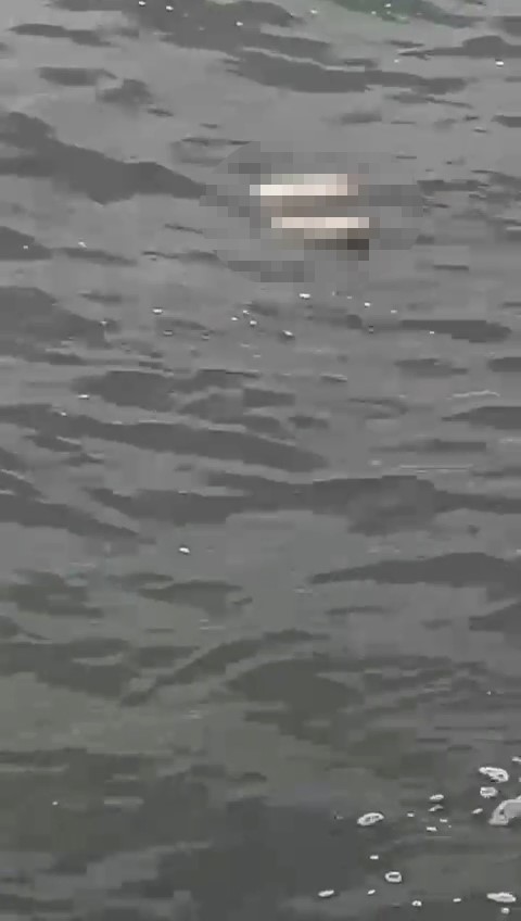 Bursa Mudanya&rsquo;da kıyıya ceset vurdu
