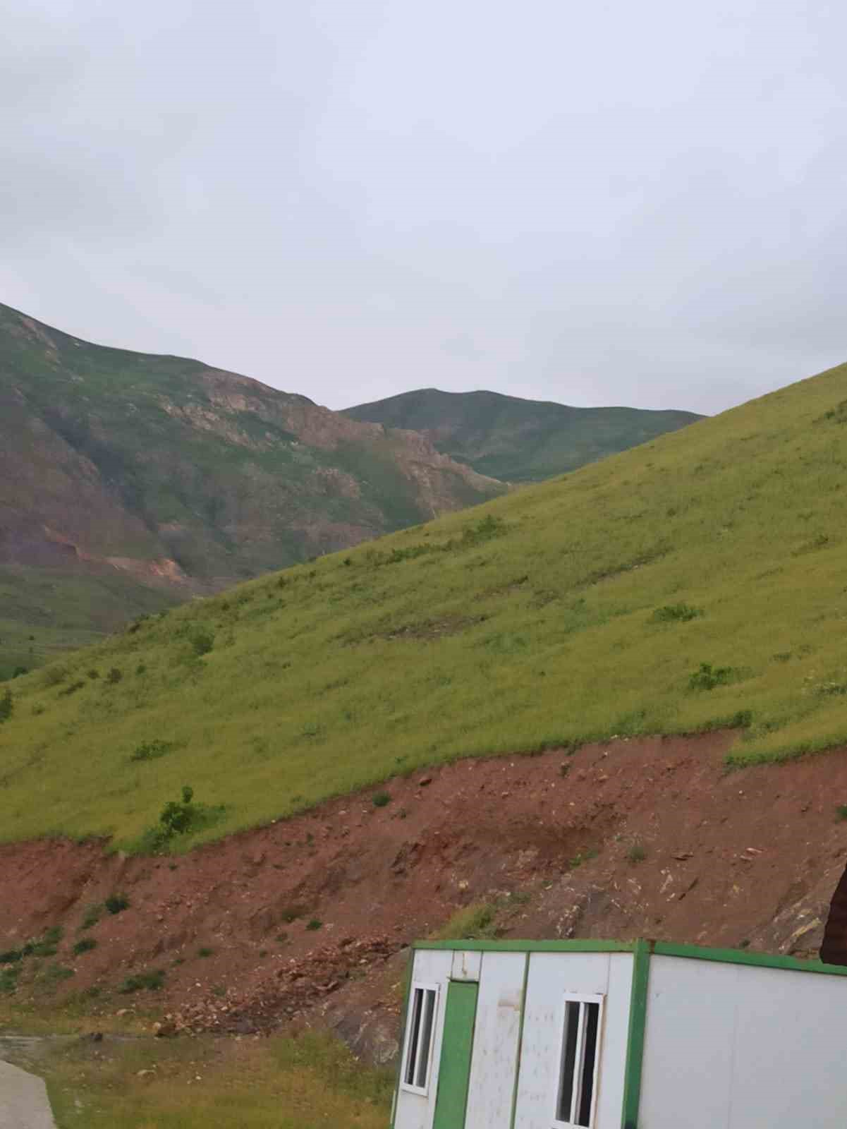 Hakkari&rsquo;de g&uuml;neşle a&ccedil;an, g&uuml;n batımında yok olan &ccedil;i&ccedil;ekler
