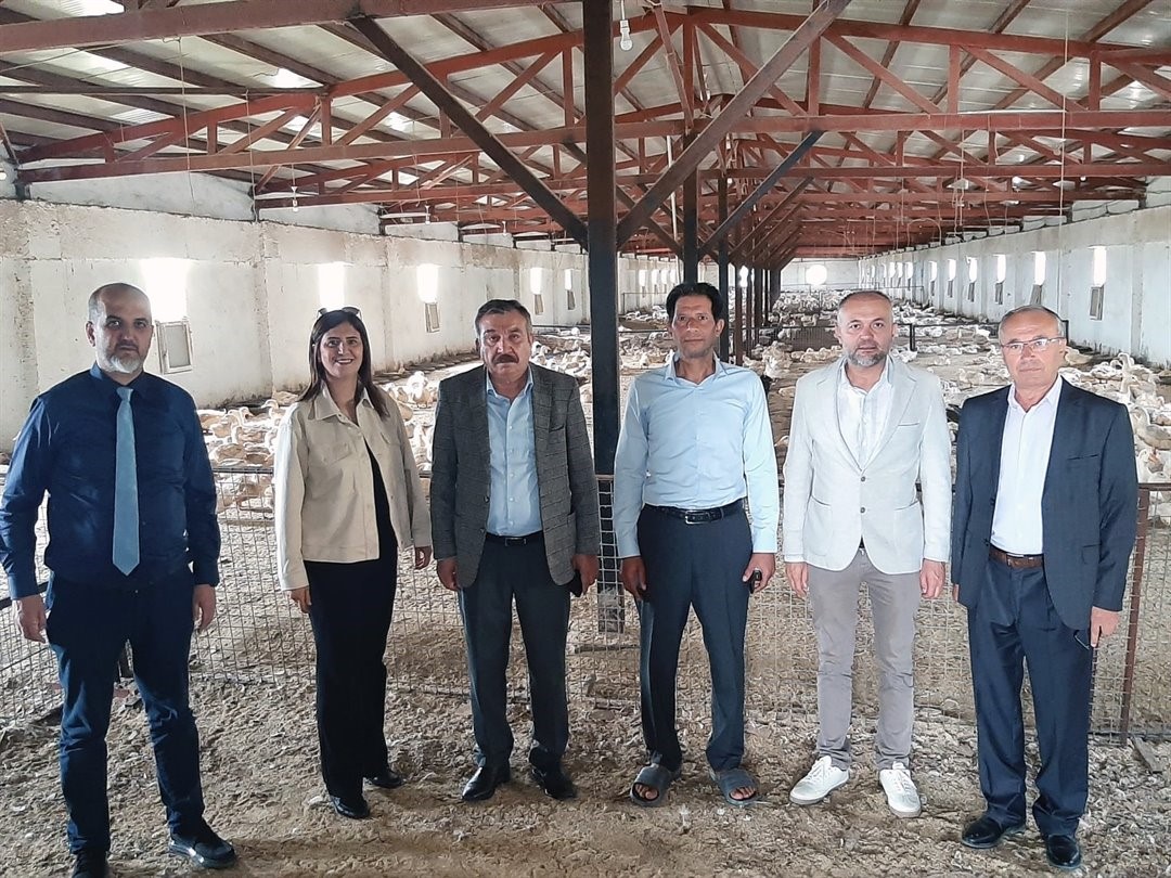 Kütahya’da Pekin ördeği çiftliği