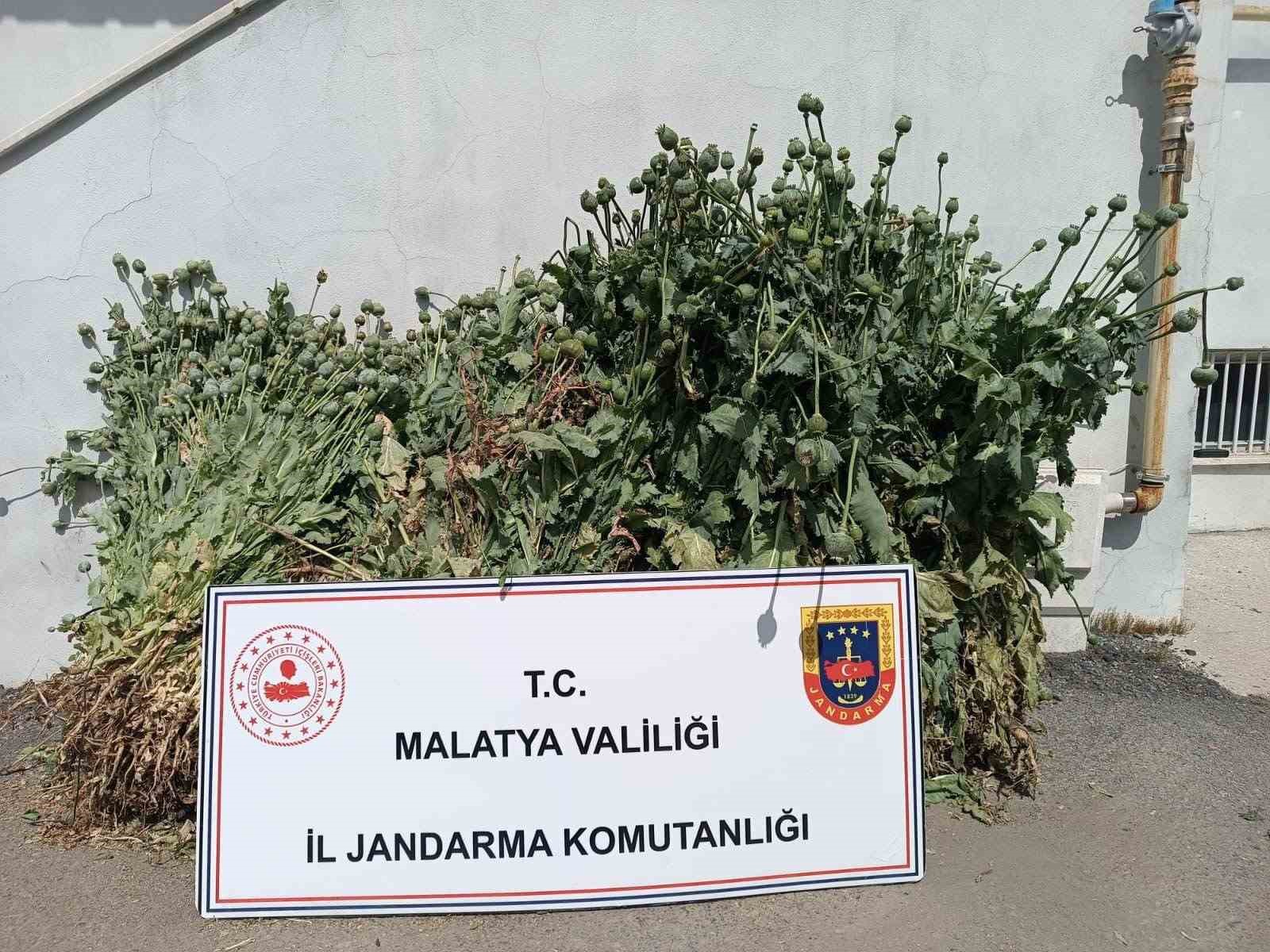 Malatya&rsquo;da uyuşturucu operasyonları
