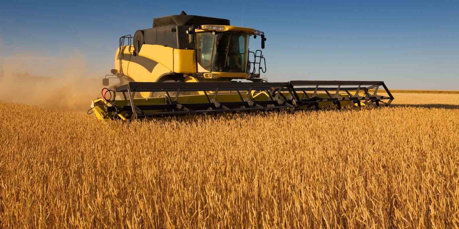 Adana ve Mersin’de 2025 yılı buğday biçim ücretleri belirlendi