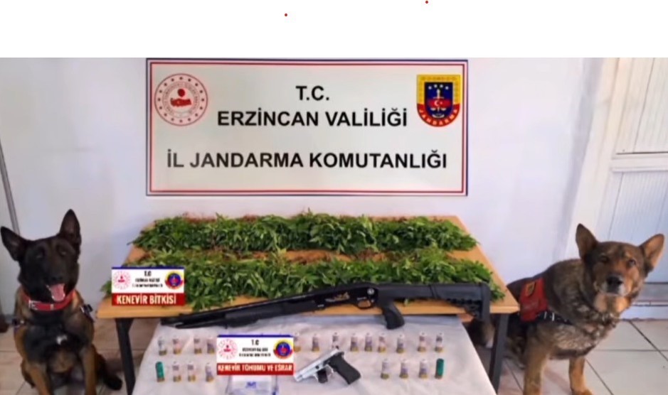 Erzincan&rsquo;da uyuşturucu operasyonu
