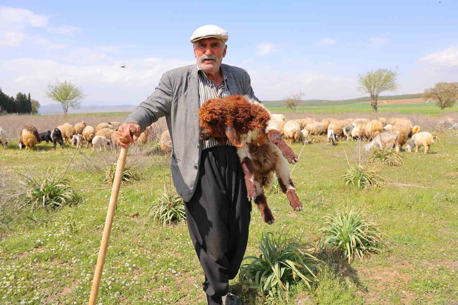 Kendi hayvanlarına çobanlık yapan Hüseyin dede: "Hayvancılık el işinden çok güzeldir"