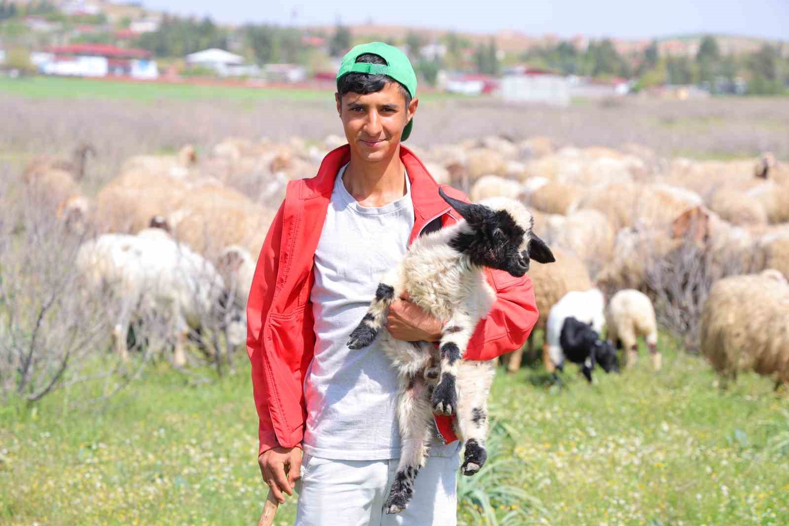 Kendi hayvanlarına &ccedil;obanlık yapan H&uuml;seyin dede: "Hayvancılık el işinden &ccedil;ok g&uuml;zeldir"
