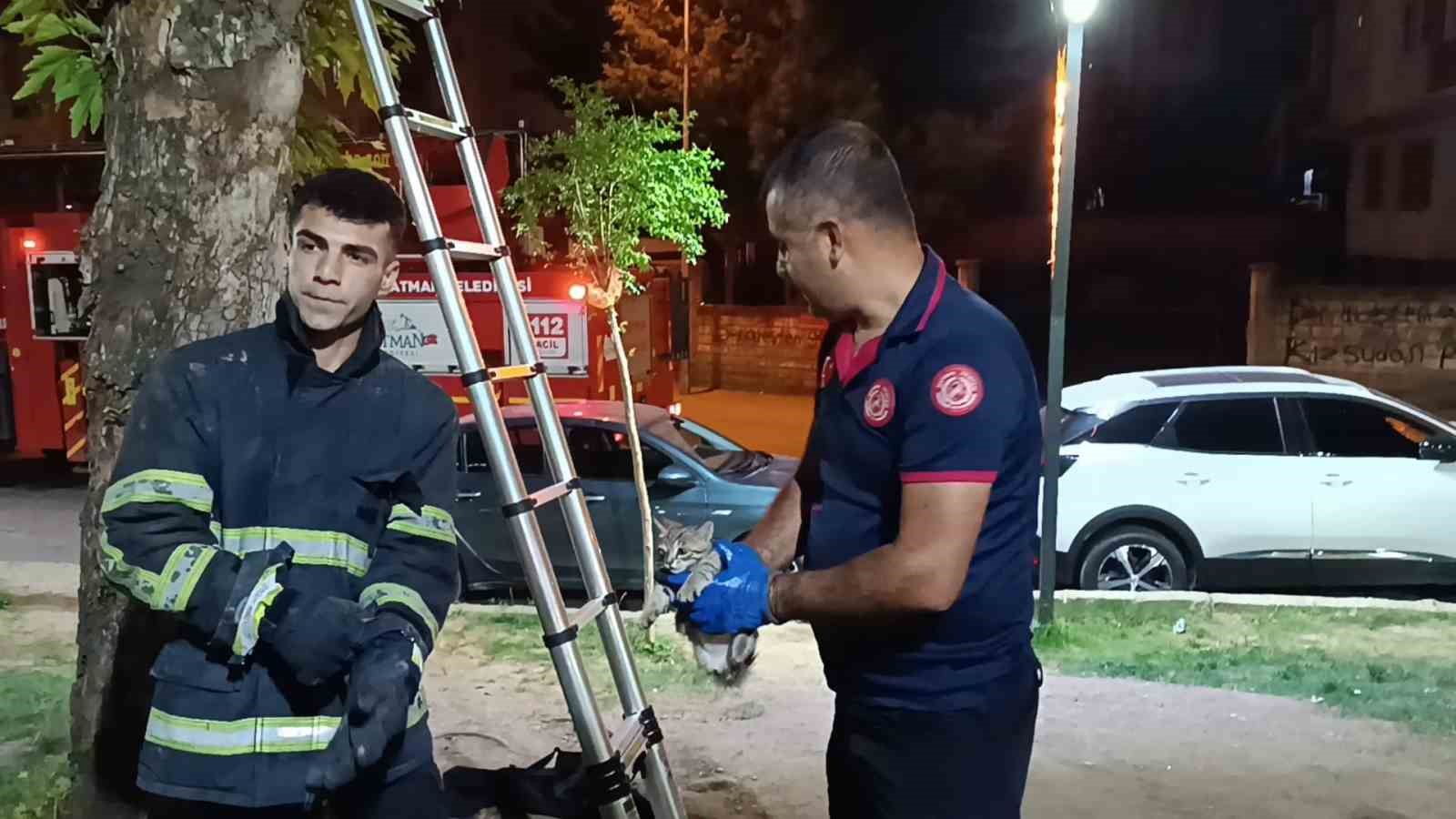 Ağaçta mahsur kalan kedi itfaiye ekibi tarafından kurtarıldı