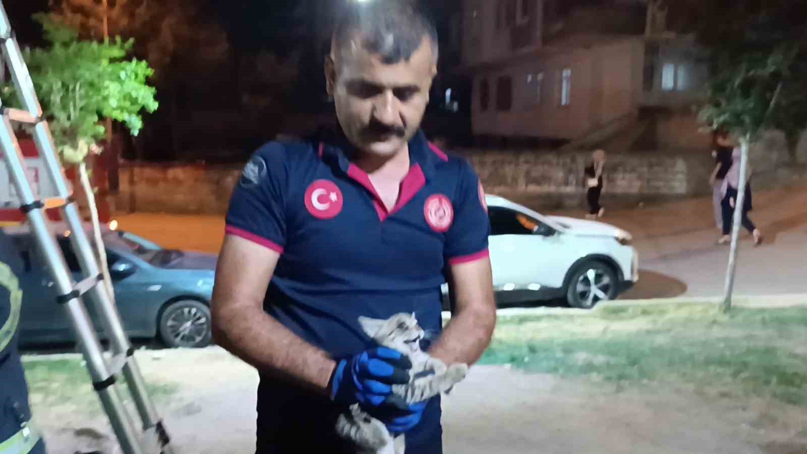 Ağa&ccedil;ta mahsur kalan kedi itfaiye ekibi tarafından kurtarıldı
