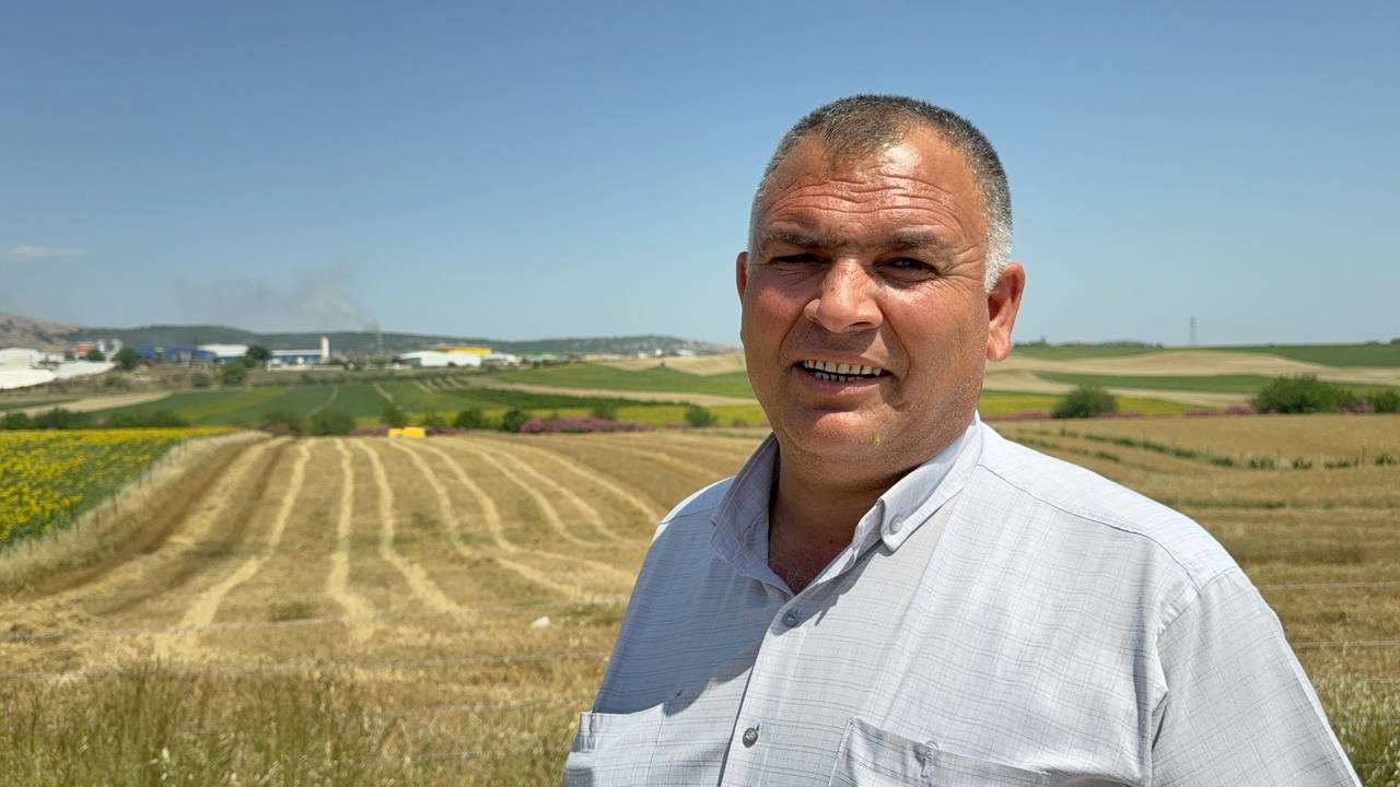 Buğday hasadı sürüyor: Bu sezon verim düşük 