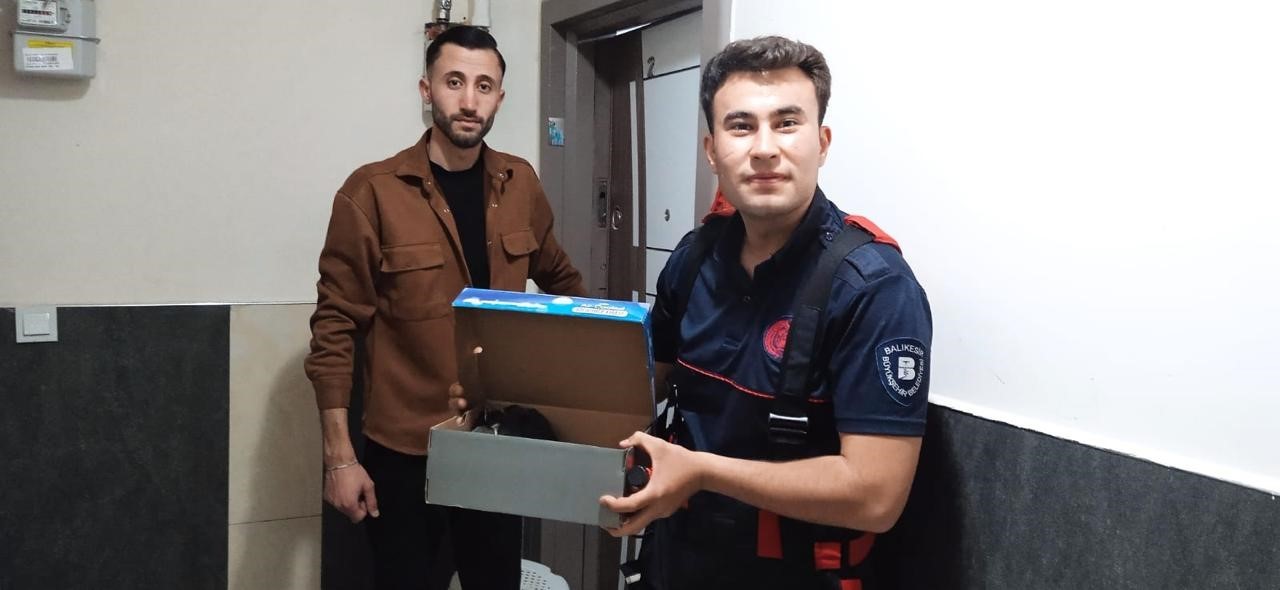 İtfaiye erleri kurtardıkları karga yavrularını elleriyle besledi