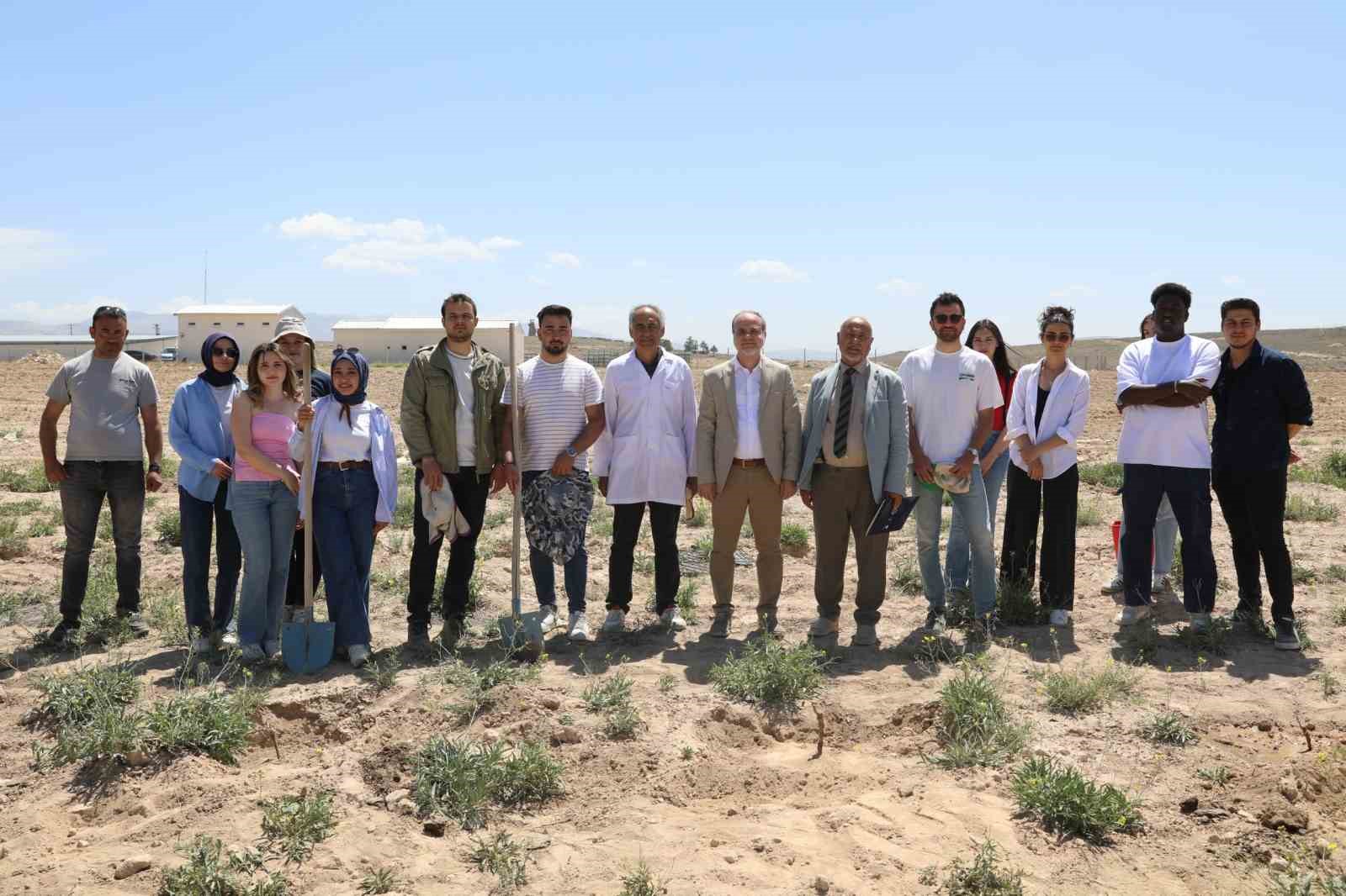 NÖHÜ, Niğde bağlarını yeniden canlandırıyor